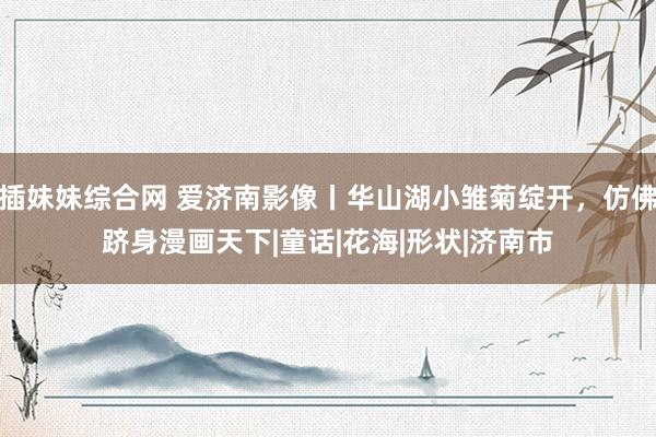 插妹妹综合网 爱济南影像丨华山湖小雏菊绽开,仿佛跻身漫画天下|童话|花海|形状|济南市