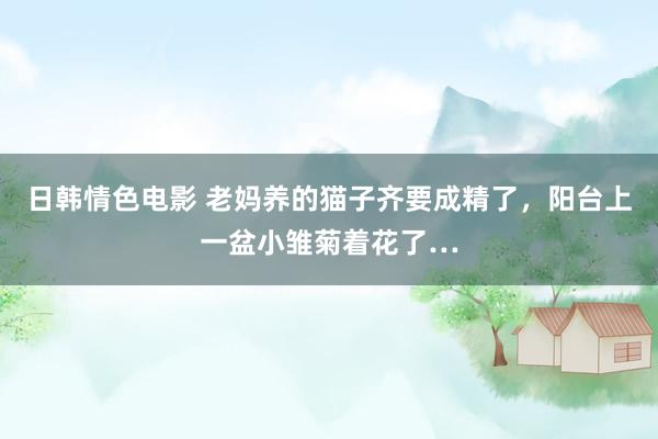 日韩情色电影 老妈养的猫子齐要成精了，阳台上一盆小雏菊着花了…