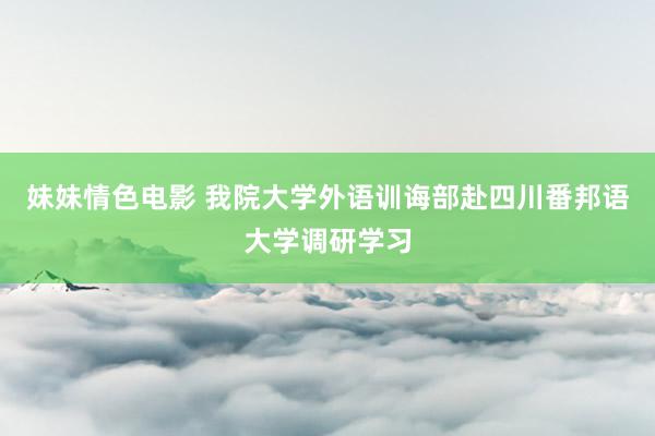 妹妹情色电影 我院大学外语训诲部赴四川番邦语大学调研学习