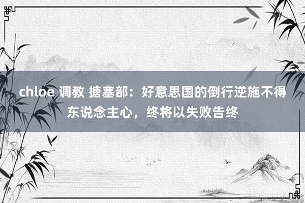 chloe 调教 搪塞部：好意思国的倒行逆施不得东说念主心，终将以失败告终