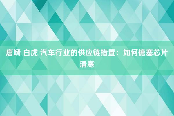 唐嫣 白虎 汽车行业的供应链措置：如何搪塞芯片清寒