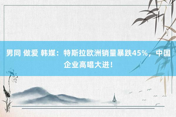男同 做爱 韩媒：特斯拉欧洲销量暴跌45%，中国企业高唱大进！