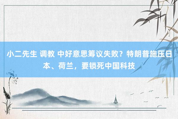 小二先生 调教 中好意思筹议失败？特朗普施压日本、荷兰，要锁死中国科技