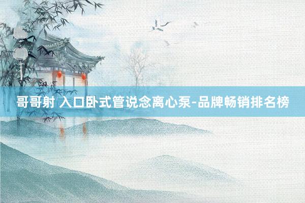 哥哥射 入口卧式管说念离心泵-品牌畅销排名榜