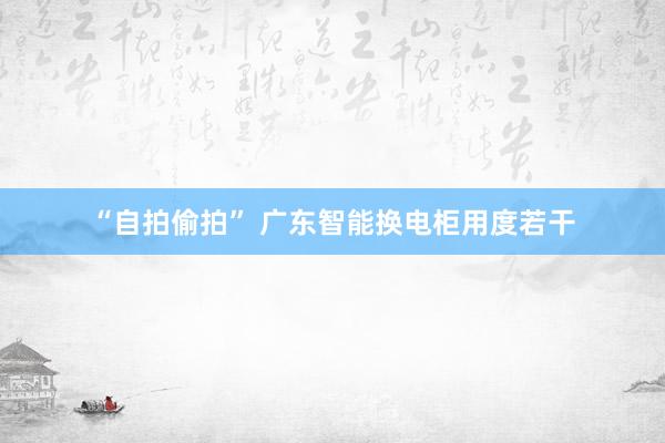 “自拍偷拍” 广东智能换电柜用度若干