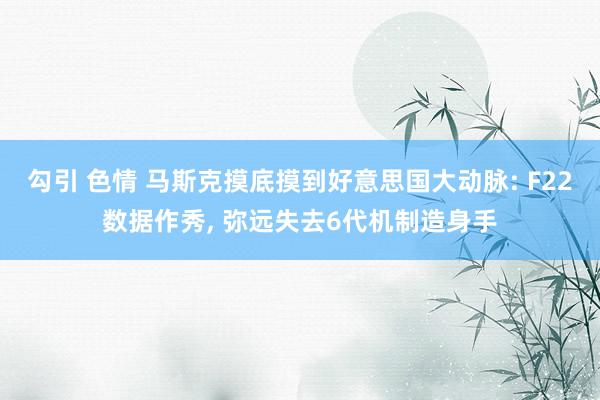 勾引 色情 马斯克摸底摸到好意思国大动脉: F22数据作秀, 弥远失去6代机制造身手