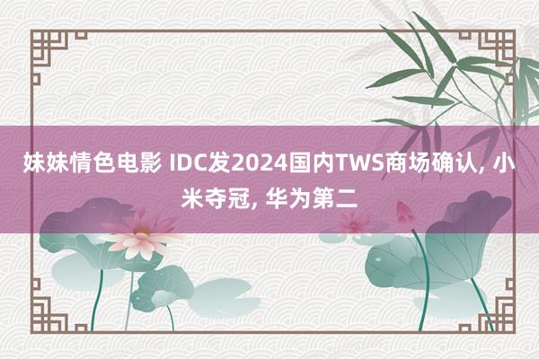 妹妹情色电影 IDC发2024国内TWS商场确认, 小米夺冠, 华为第二