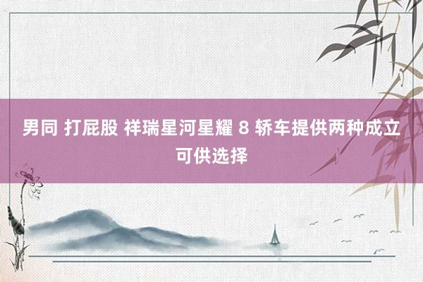 男同 打屁股 祥瑞星河星耀 8 轿车提供两种成立可供选择