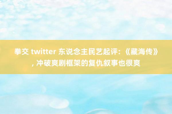 拳交 twitter 东说念主民艺起评: 《藏海传》, 冲破爽剧框架的复仇叙事也很爽