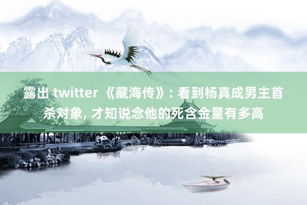 露出 twitter 《藏海传》: 看到杨真成男主首杀对象, 才知说念他的死含金量有多高