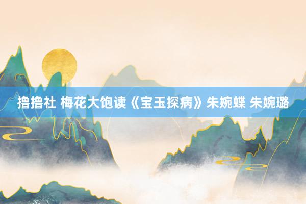 撸撸社 梅花大饱读《宝玉探病》朱婉蝶 朱婉璐