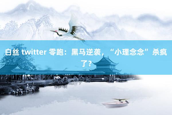 白丝 twitter 零跑：黑马逆袭，“小理念念” 杀疯了？