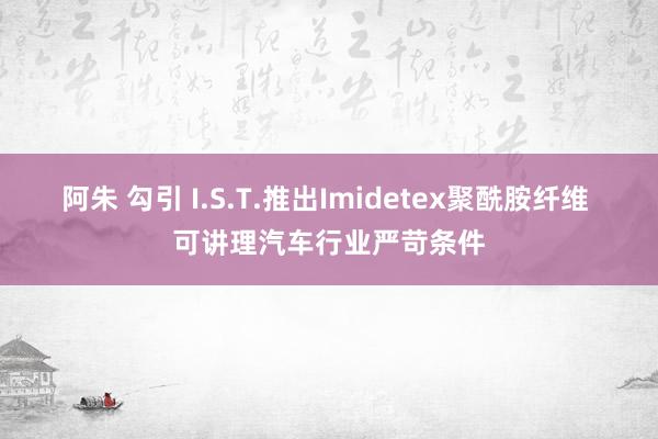 阿朱 勾引 I.S.T.推出Imidetex聚酰胺纤维 可讲理汽车行业严苛条件