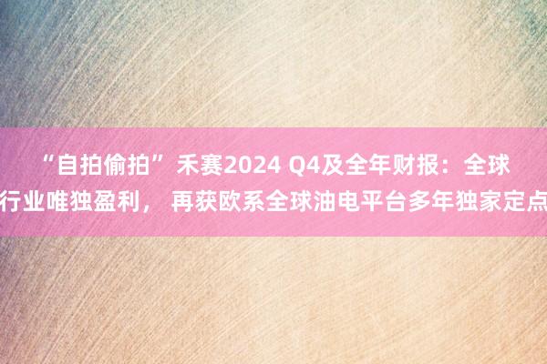 “自拍偷拍” 禾赛2024 Q4及全年财报：全球行业唯独盈利， 再获欧系全球油电平台多年独家定点