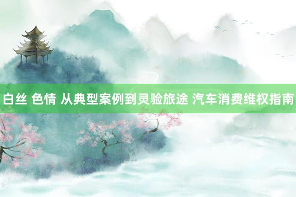 白丝 色情 从典型案例到灵验旅途 汽车消费维权指南