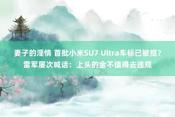妻子的淫情 首批小米SU7 Ultra车标已被抠？雷军屡次喊话：上头的金不值得去违规